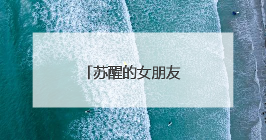 苏醒的女朋友叫什么名字