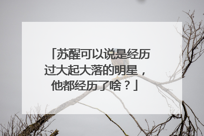 苏醒可以说是经历过大起大落的明星,他都经历了啥?