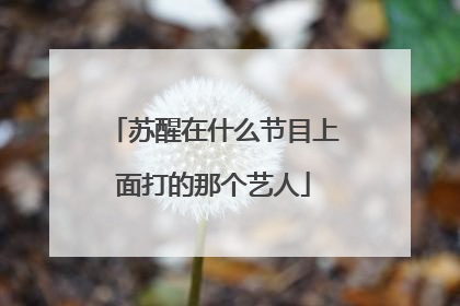 苏醒在什么节目上面打的那个艺人