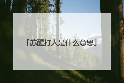 苏醒打人是什么意思
