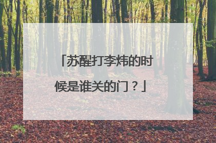 苏醒打李炜的时候是谁关的门？