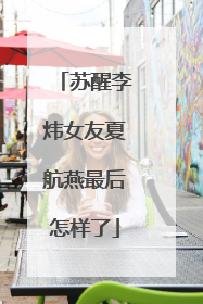 苏醒李炜女友夏航燕最后怎样了