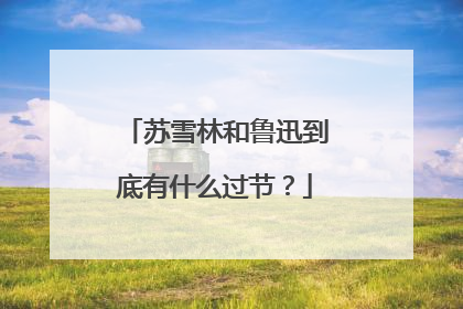 苏雪林和鲁迅到底有什么过节？