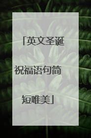 英文圣诞祝福语句简短唯美