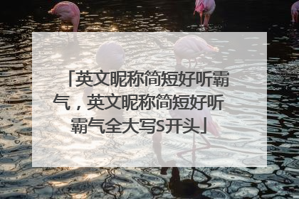 英文昵称简短好听霸气，英文昵称简短好听霸气全大写S开头