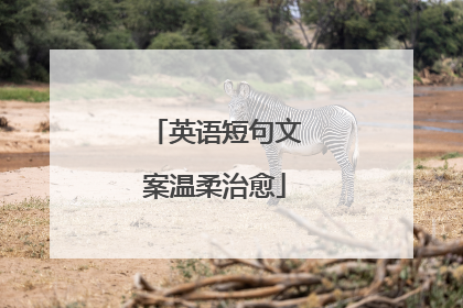 英语短句文案温柔治愈