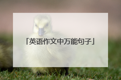 英语作文中万能句子