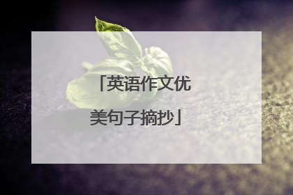 英语作文优美句子摘抄
