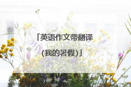 英语作文带翻译(我的暑假)