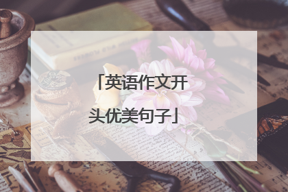 英语作文开头优美句子