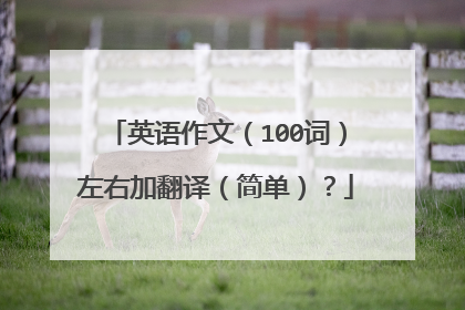 英语作文(100词)左右加翻译(简单)?