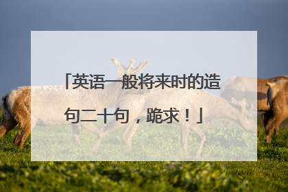 英语一般将来时的造句二十句，跪求！