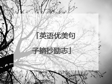 英语优美句子摘抄励志
