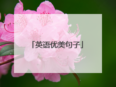 英语优美句子