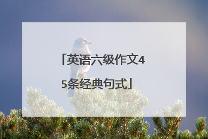 英语六级作文45条经典句式