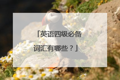 英语四级必备词汇有哪些?