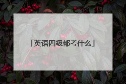 英语四级都考什么