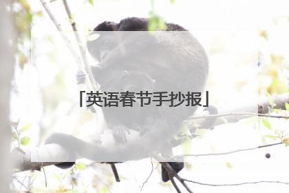 英语春节手抄报
