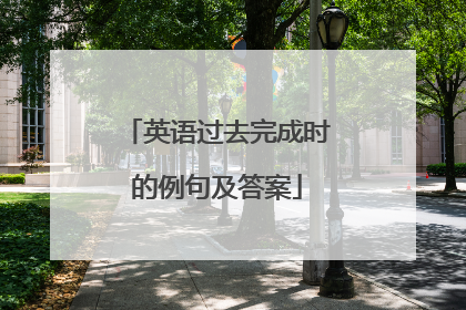 英语过去完成时的例句及答案