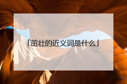 茁壮的近义词是什么