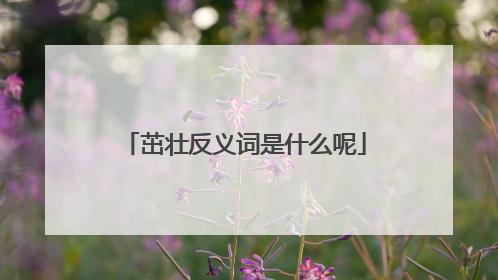 茁壮反义词是什么呢