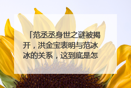 范丞丞身世之谜被揭开,洪金宝表明与范冰冰的关系,这到底是怎么一回事呢?