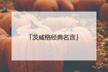 茨威格经典名言