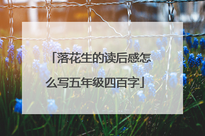 落花生的读后感怎么写五年级四百字