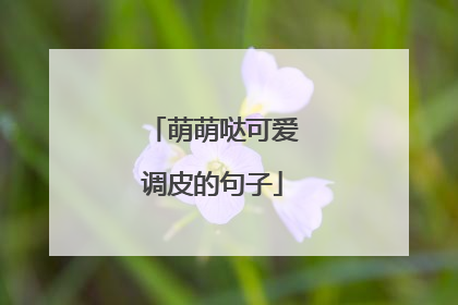 萌萌哒可爱调皮的句子
