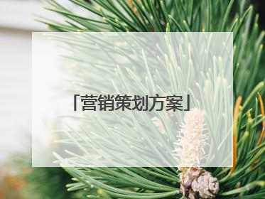 营销策划方案