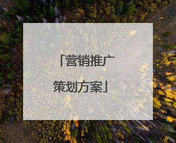 营销推广策划方案