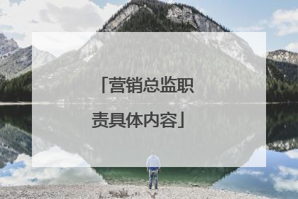 营销总监职责具体内容