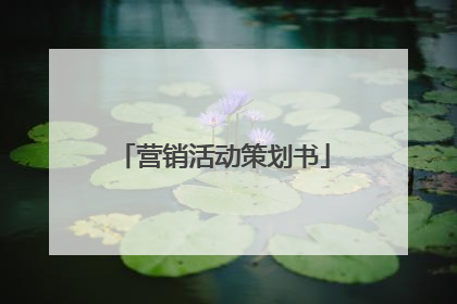 营销活动策划书