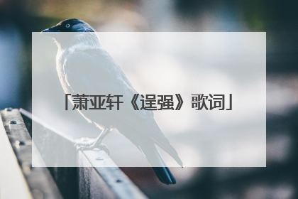 萧亚轩《逞强》歌词