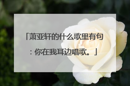 萧亚轩的什么歌里有句：你在我耳边唱歌。