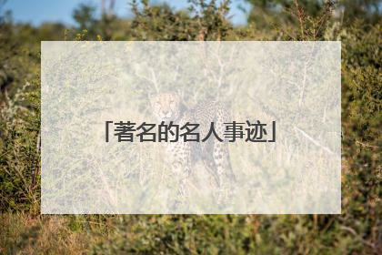 著名的名人事迹