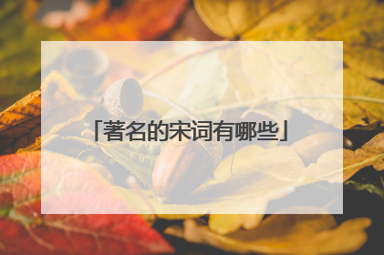 著名的宋词有哪些