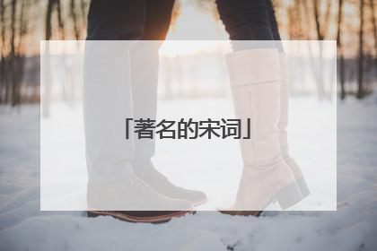 著名的宋词