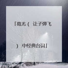 葛尤（ 让子弹飞） 中经典台词