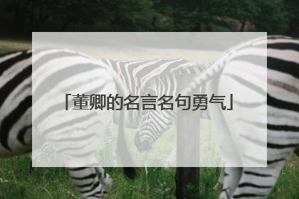 董卿的名言名句勇气