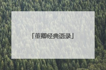 董卿经典语录