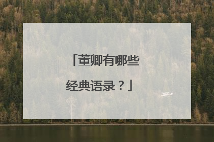 董卿有哪些经典语录？