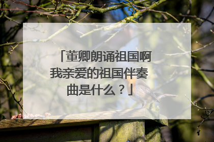董卿朗诵祖国啊我亲爱的祖国伴奏曲是什么?