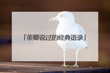 董卿说过的经典语录