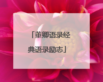 董卿语录经典语录励志