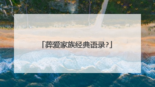 葬爱家族经典语录?