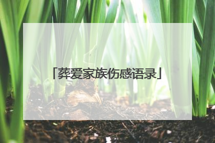 葬爱家族伤感语录