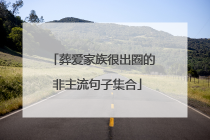 葬爱家族很出圈的非主流句子集合