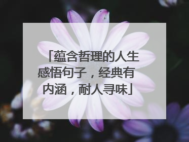 蕴含哲理的人生感悟句子,经典有内涵,耐人寻味