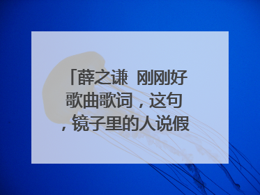 薛之谦 刚刚好 歌曲歌词,这句,镜子里的人说假话,违心的样子你决定了吗?什么意思啊?